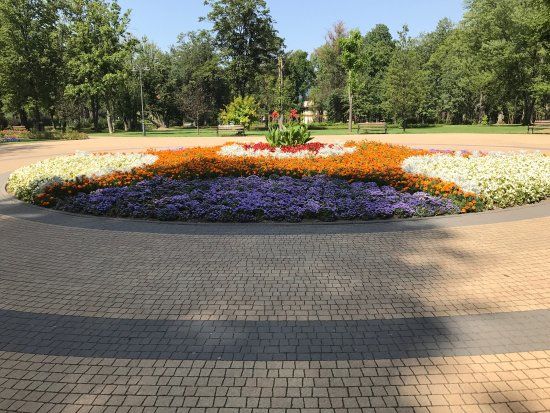 Muzeum Władysława Orkana